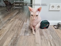 Обустроили удобный домашний офис для работы на удалёнке 💻✨